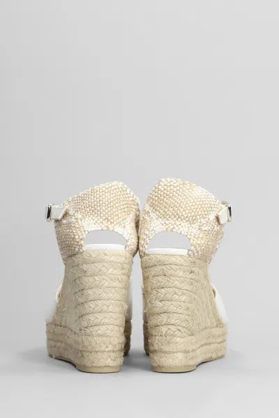 Castaã±er Bianca-8ed-001 Wedges In White Canvas
