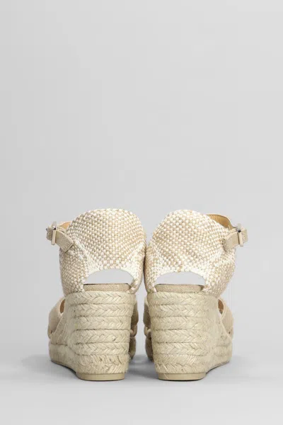Shop Castaã±er Castañer Bruna-6-002 Wedges