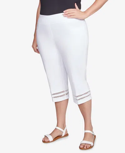 Ruby Rd. Plus Size Dreamy Clamdigger Pants In White