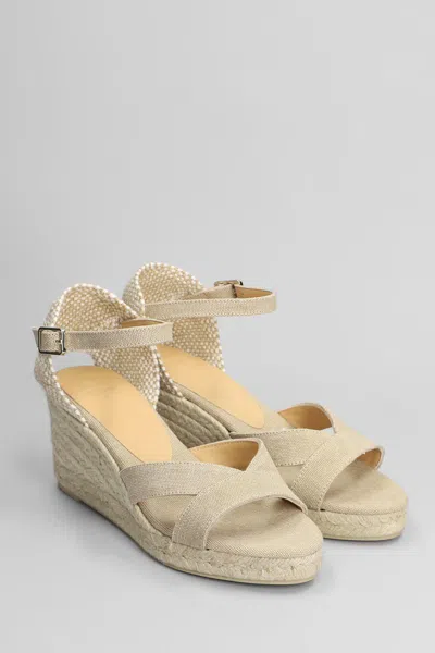 Shop Castaã±er Castañer Bruna-6-002 Wedges