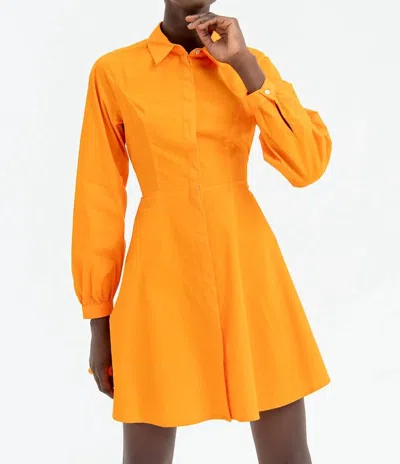 Fracomina Chemisier Denim Mini Dress In Orange