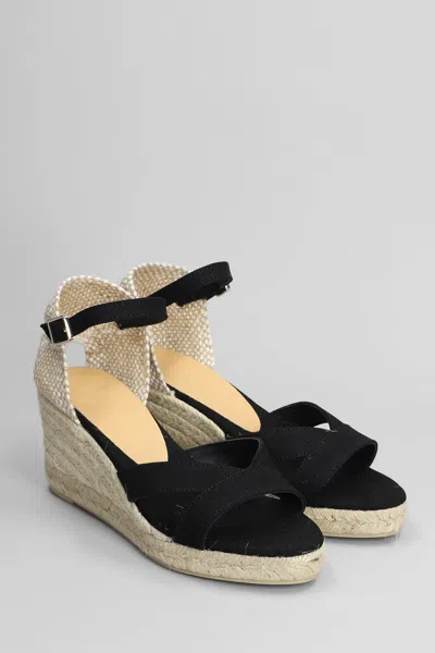 Castaã±er Castañer Bruna-6-001 Wedges