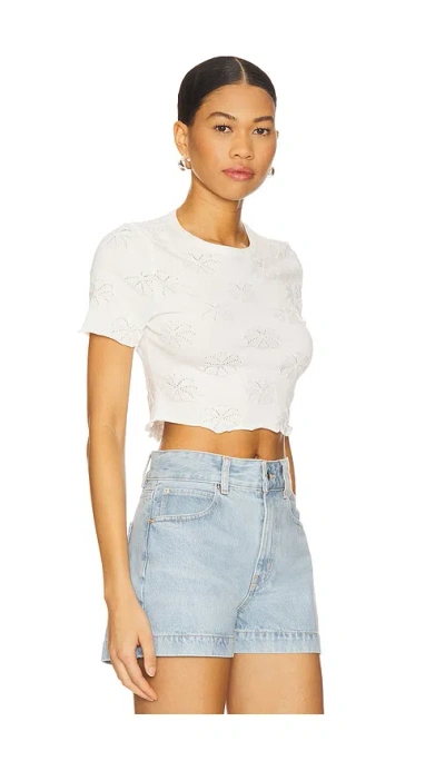 Minkpink Bowie Pointelle Knit Tee In Pattern