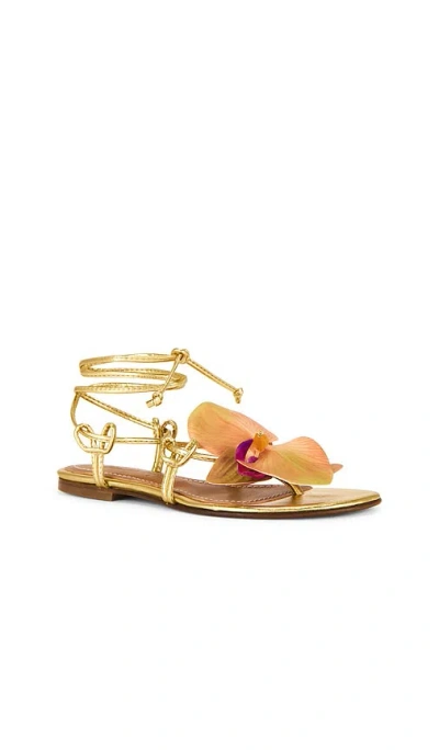Alameda Turquesa Victoria Sandal In Gold