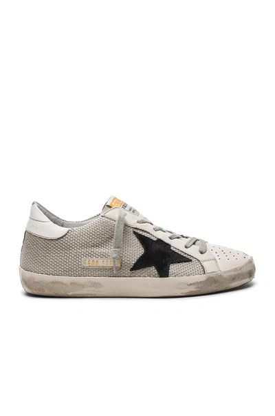 Shop Golden Goose Superstar Sneakers In Gray. In Grey Cord Gum
