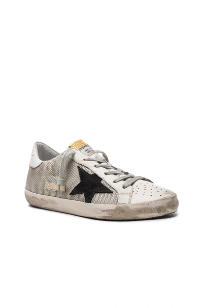 Shop Golden Goose Superstar Sneakers In Gray. In Grey Cord Gum