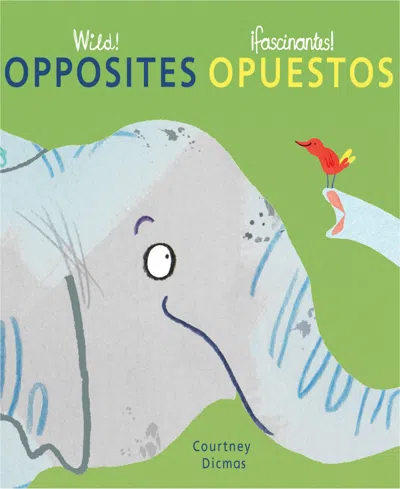 Child's Play Books Wild Concepts Bilingual Board Books, Set Of 4