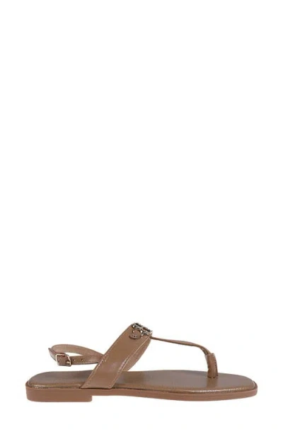 Bebe Logo Toe Post Sandal In Brown