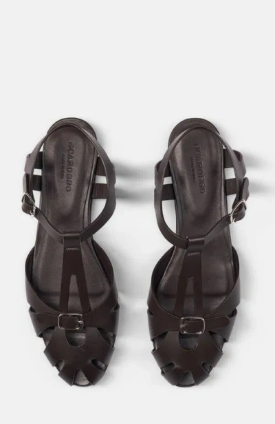Scarosso Gala Fisherman Sandals In Brown