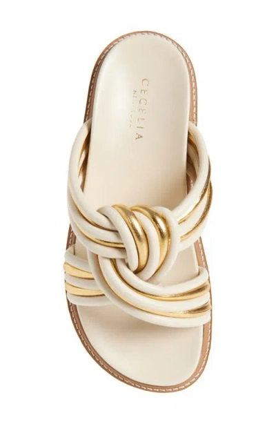 Cecelia New York Marty Platform Sandal In Multi