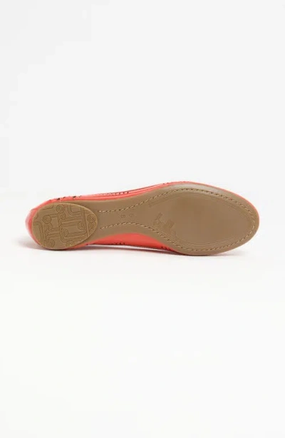 Belle By Sigerson Morrison 'andromeda' Flat