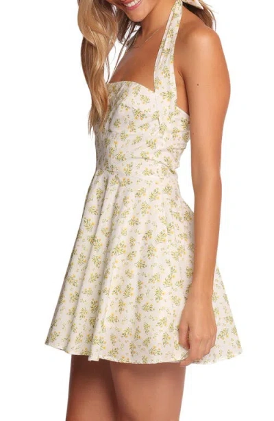 Petal And Pup Petal & Pup Thornton Floral Cotton Fit & Flare Halter Minidress In White