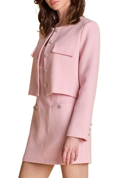 Endless Rose Tweed Buttoned Jacket Pink In Pink