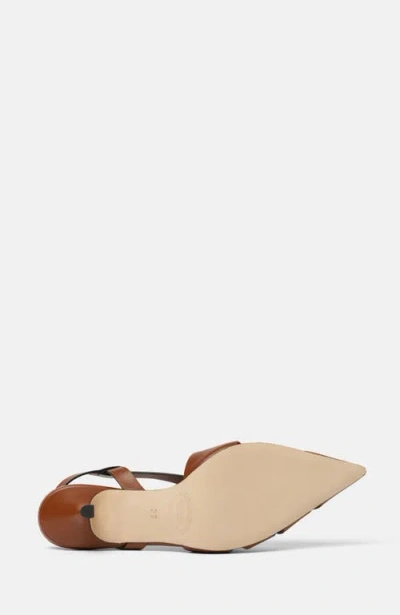 Scarosso Clio Slingback Pumps In Brown