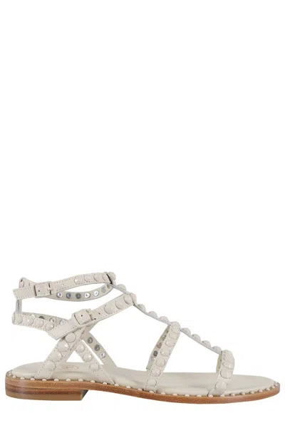 Ash Precious Sandal