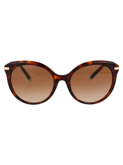 Tiffany & Co Cat Eye Sunglasses 0 Tf4189 B 80023 B