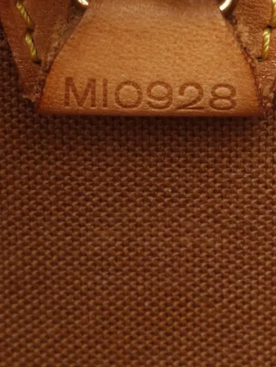 Pre-owned Louis Vuitton 1998 Eclipse Mm Handbag In Brown