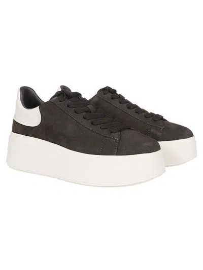 Ash Sneakers