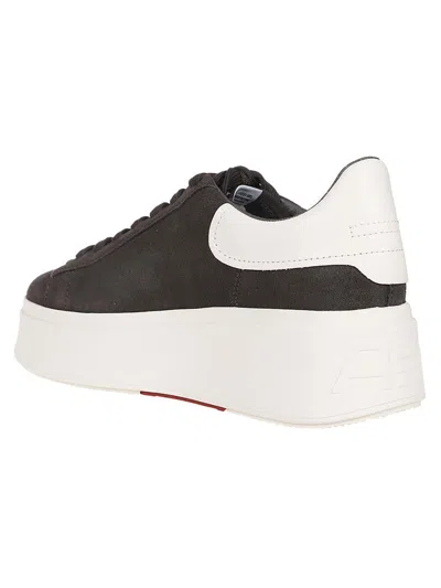Ash Sneakers