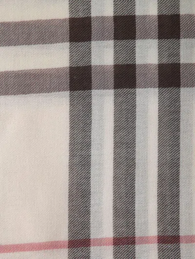 Burberry Scarves