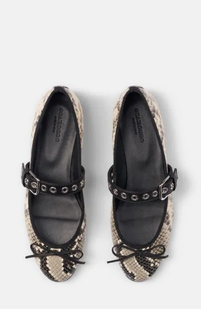 Scarosso Astrid Python Printed Flat Shoes In Neutral