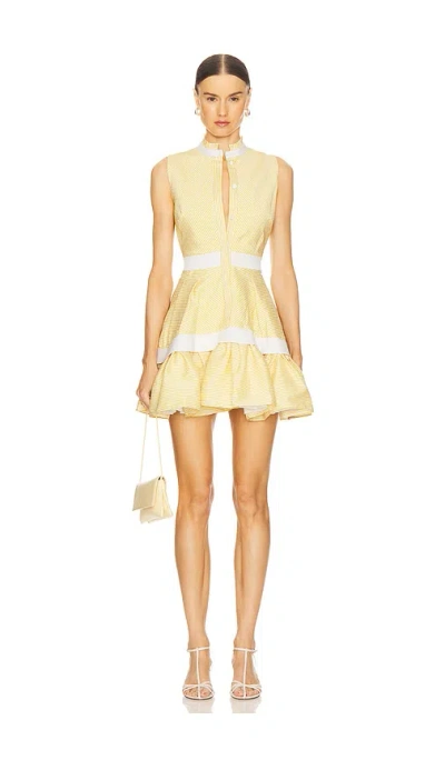 Alexis Natacha Herringbone Mini Shirt Dress In Yellow Stripe