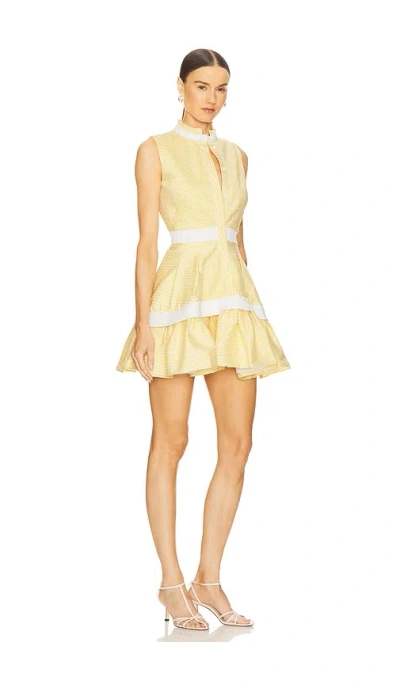 Alexis Natacha Herringbone Mini Shirt Dress In Yellow Stripe