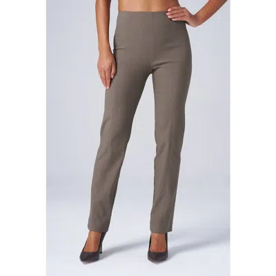 Franne Golde Slim Ankle Stretch Magic Pant In Gray