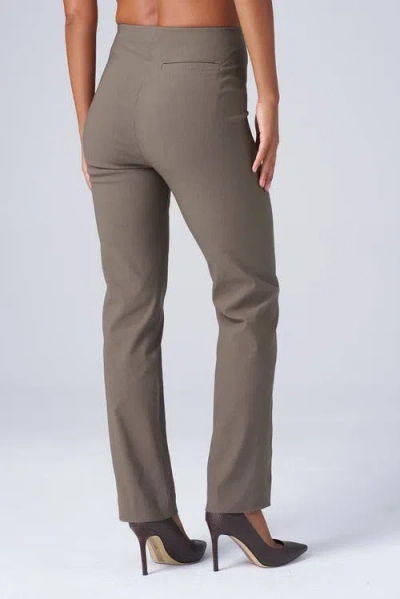 Franne Golde Slim Ankle Stretch Magic Pant In Gray