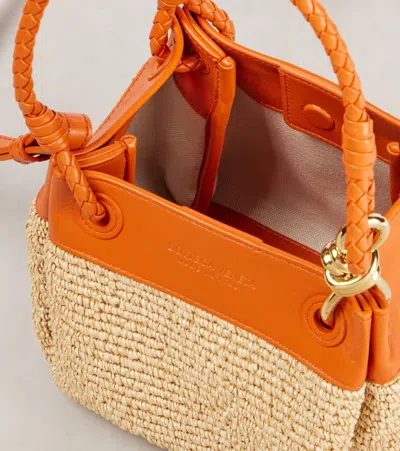 Bottega Veneta Parachute Small Raffia Shoulder Bag In Sand