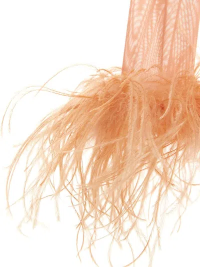 Oseree Feather Transparent Mesh Bodysuit Underwear And Body Pink