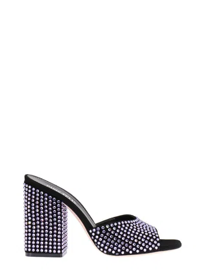 Shop Paris Texas Black And Violet Leather Mules
