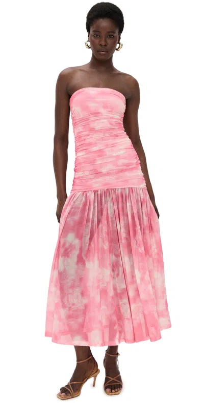 Bardot Solana Blurred Floral Drop Waist Mesh Maxi Dress In Pink Flora
