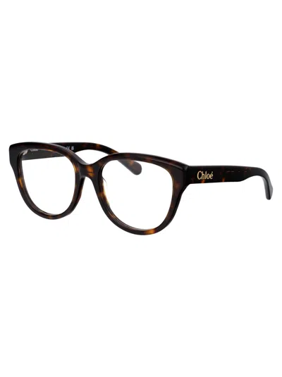 Chloé Havana Havana Transparent Acetate Glasses