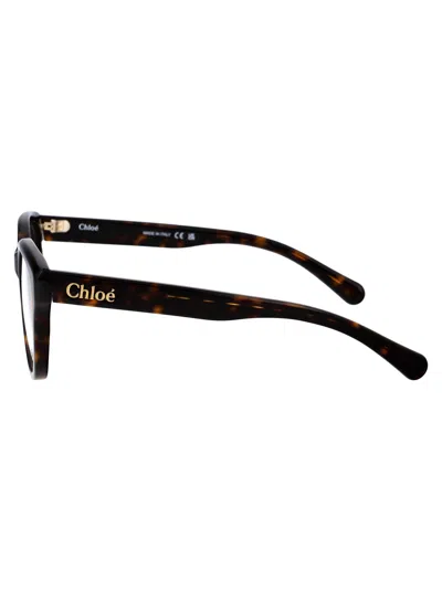 Chloé Havana Havana Transparent Acetate Glasses