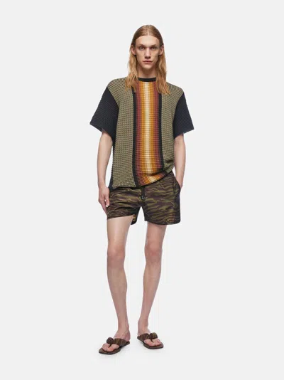 Attico Zebra Shorts In Khaki/brown Nylon