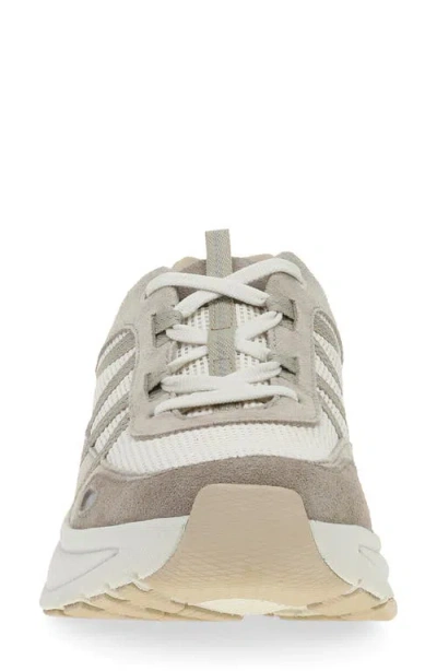 Dansko Poppy Walking Sneaker In Gray