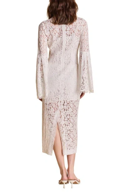 Endless Rose Lace Long Sleeve Midi Dress