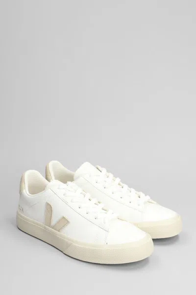 Veja Campo Sneakers In White