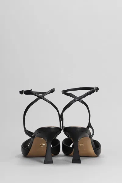Lola Cruz Streep 65 Sandals In Black Leather In Black