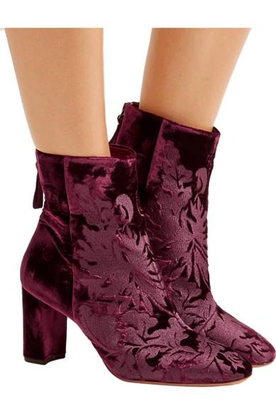 Shop Alexandre Birman Regina Flocked Velvet Ankle Boots