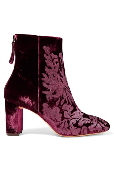 Alexandre Birman Regina Embroidered Velvet Ankle Boots In Burgundy