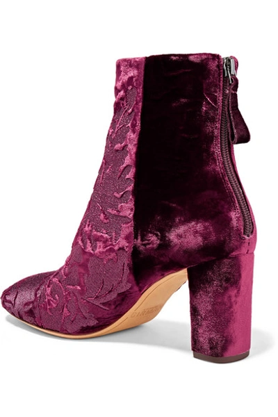 Shop Alexandre Birman Regina Flocked Velvet Ankle Boots
