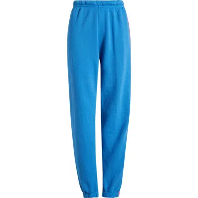 Aviator Nation Stripe Sweatpants In Multi