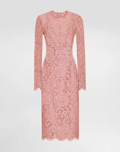 Dolce & Gabbana Women Branded Floral Cardonetto Lace Sheath Dress In Pink