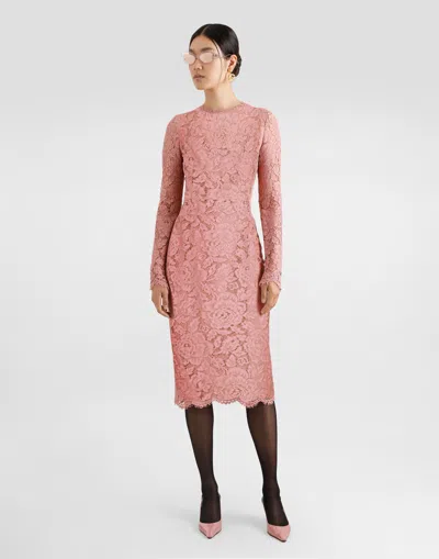 Dolce & Gabbana Women Branded Floral Cardonetto Lace Sheath Dress In Pink
