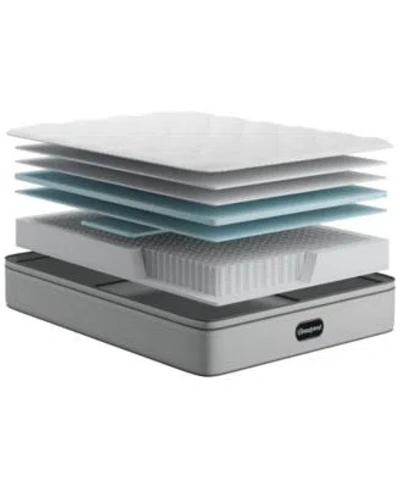 Beautyrest Closeout  Pampered Nights 13.75 Medium Pillow Top Mattress Collection