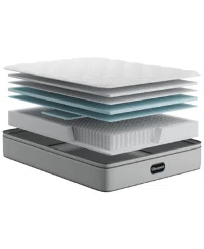 Beautyrest Closeout  Pampered Nights 13.75 Plush Pillow Top Mattress Collection