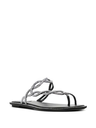 René Caovilla Rene Caovilla Black Flat Braid Sandal 10