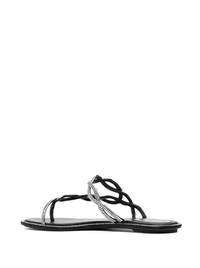 René Caovilla Rene Caovilla Black Flat Braid Sandal 10
